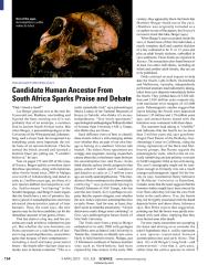 news of the week candidate human ancestor from south africa sparks praise and debate.pdf