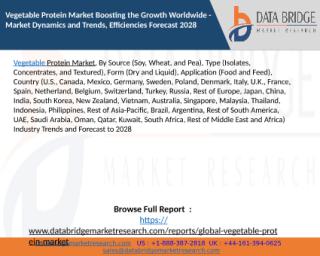 Vegetable Protein Market Boosting the Growth Worldwide - Market Dynamics and Trends, Efficiencies Forecast 2028.pptx