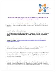 Intrapartum Monitoring Devices Market Segmentation & Market Analysis Research Report 2018.pdf