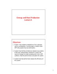 06 ENDC 413 Block-Energy and Heat Production-Lecture 6.pdf