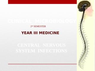 Microbiology 23 Bacterio - CNS Bacterial infection Dr Sumyya.ppt