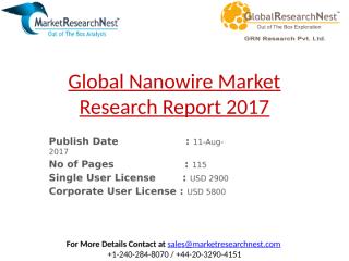 Global Nanowire Market Research Report 2017.pptx